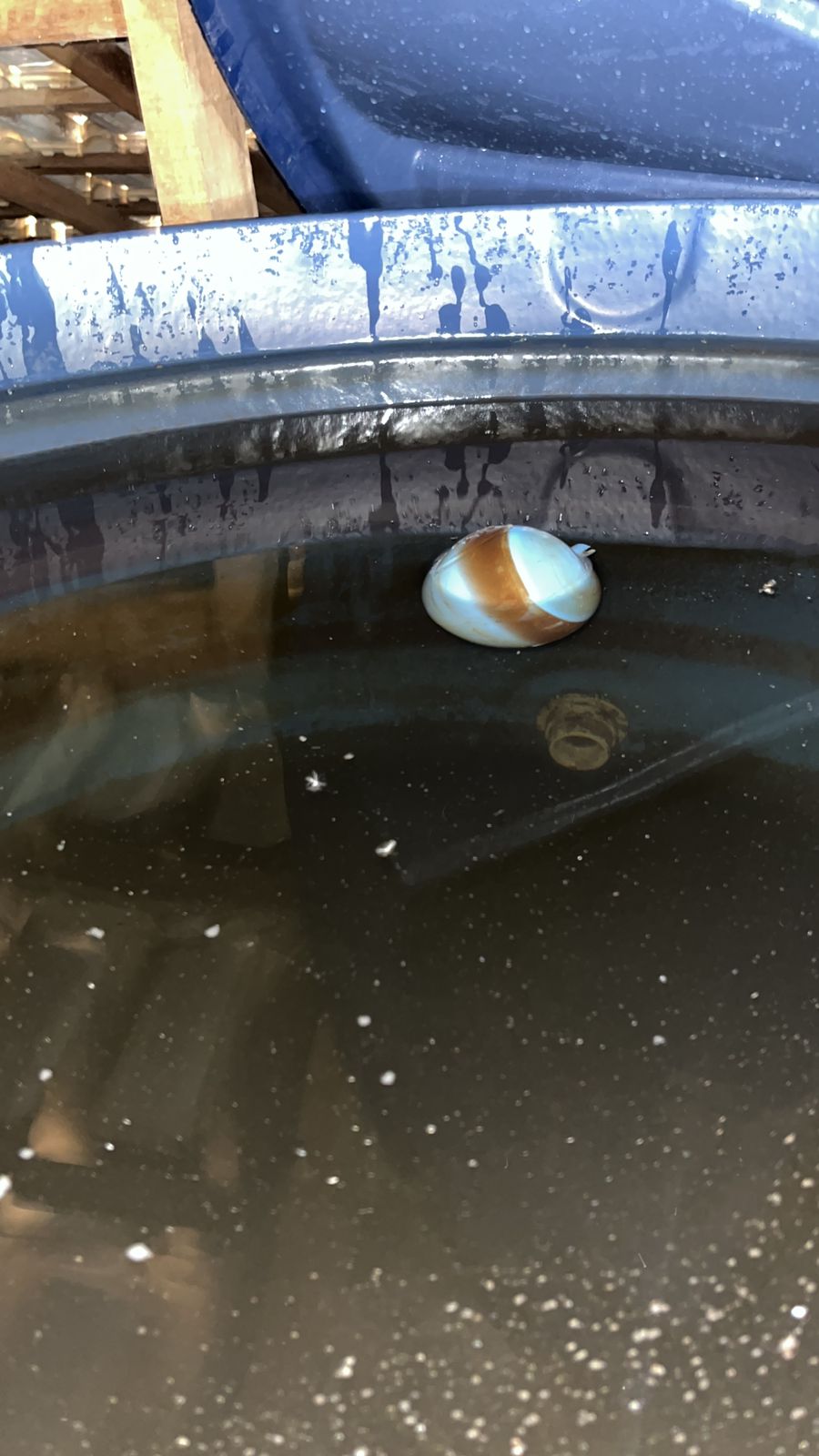 Limpeza de Caixa de Água