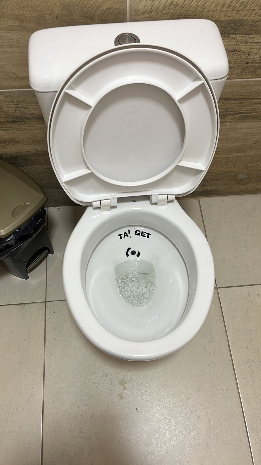 Desentupimento de Vaso Sanitário