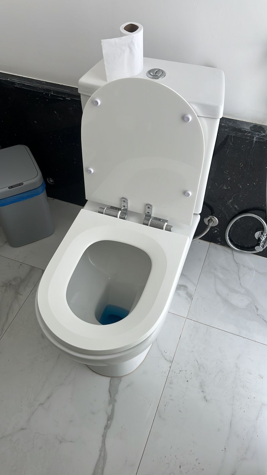 Desentupimento de Vaso